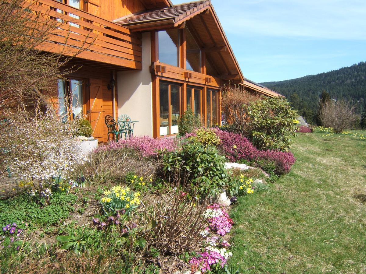 B&B Chalet l'Epinette Gérardmer Exterior foto